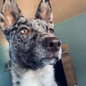 Meet your Posher, Jason